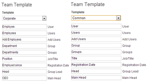 Dos ejemplos de plantillas de roles de usuario de Teamlab